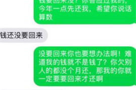 雷州如何避免债务纠纷？专业追讨公司教您应对之策